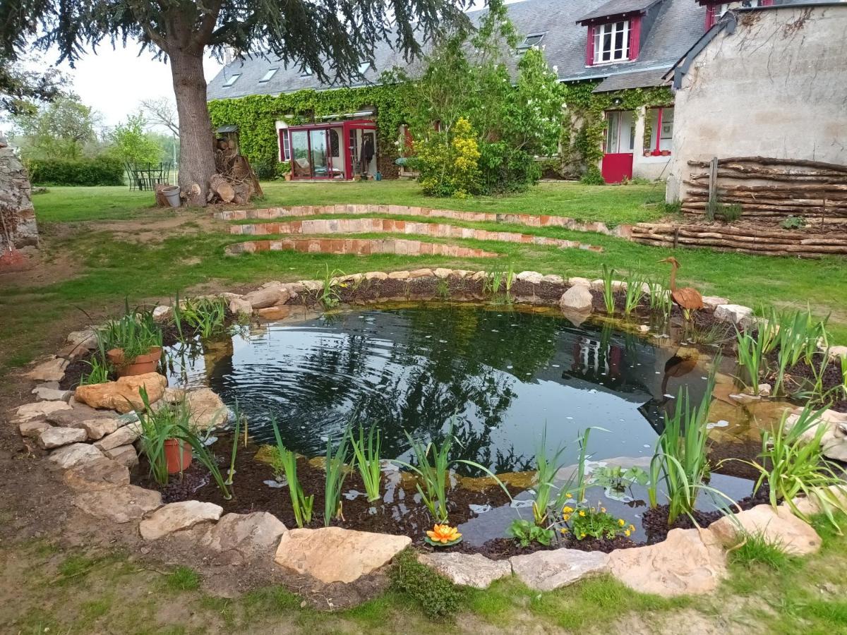 Gite En Bord De Loire Blaison-Saint-Sulpice Exterior photo